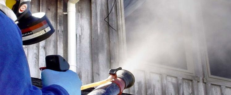 Worker fogging pesticide at wooden building