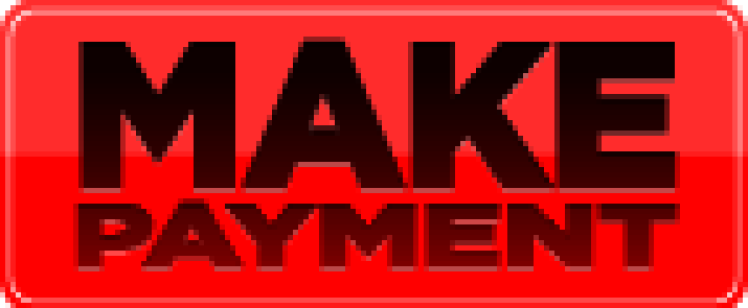 Red button that says MAKE PAYMENT