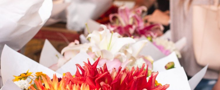 Post-Valentine’s Day Pests