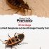 German Cockroaches Love Your Commercial Kitchen – Here’s Why Maintenance Plans Actually Work