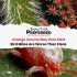 Orange County May Pest Alert: Bird Mites Are Worse Than Fleas