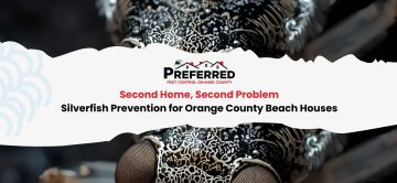 Second Home, Second Problem: Silverfish Prevention for Orange County Beach Houses