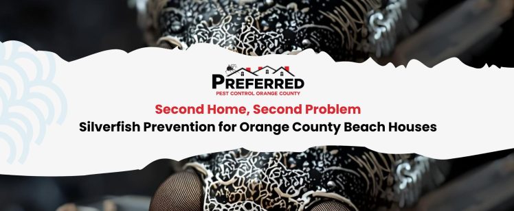 Second Home, Second Problem: Silverfish Prevention for Orange County Beach Houses