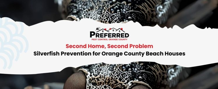 Second Home, Second Problem: Silverfish Prevention for Orange County Beach Houses
