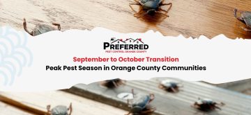 September to October Transition: Peak Pest Season in Orange County Communities