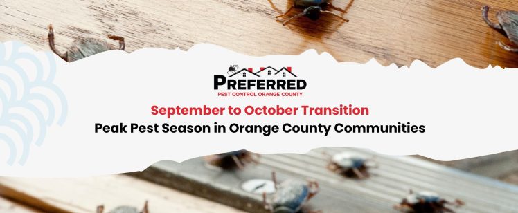 September to October Transition: Peak Pest Season in Orange County Communities