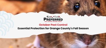 October Pest Control: Essential Protection for Orange County's Fall Season