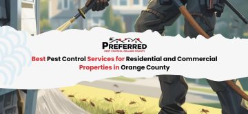 Best Pest Control Services for Residential and Commercial Properties in Orange County