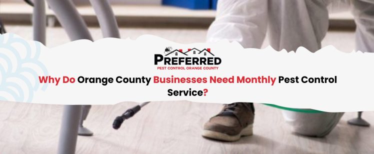 Why Do Orange County Businesses Need Monthly Pest Control Service?