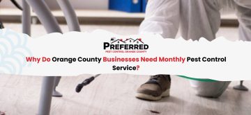 Why Do Orange County Businesses Need Monthly Pest Control Service?
