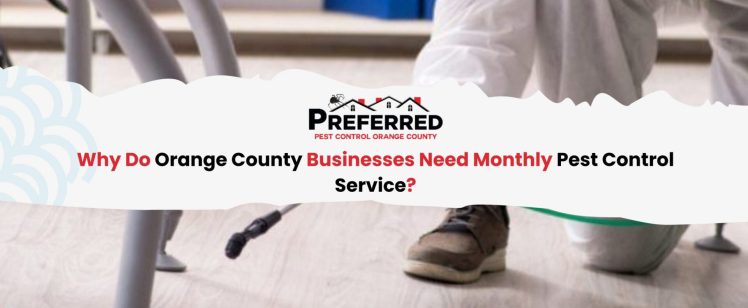 Why Do Orange County Businesses Need Monthly Pest Control Service?