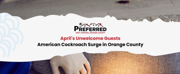 April’s Unwelcome Guests: American Cockroach Surge in Orange County