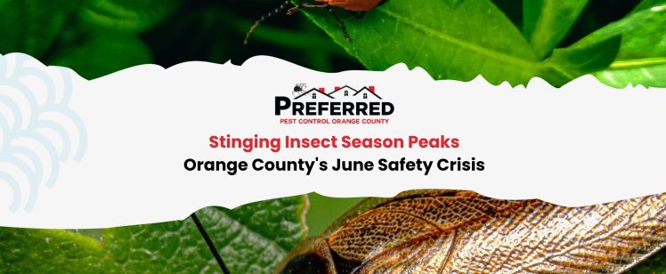 Stinging Insect Season Peaks: Orange County’s June Safety Crisis