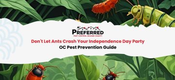 Don't Let Ants Crash Your Independence Day Party: OC Pest Prevention Guide