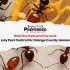 Orange County Summer Entertaining: Why Professional Pest Control Matters Before Your July Party