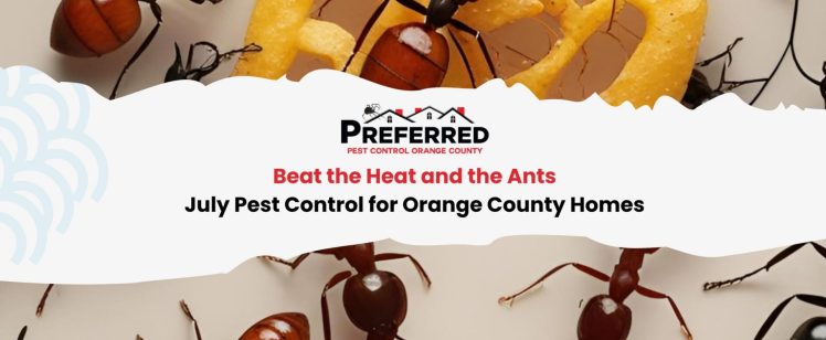 Orange County Summer Entertaining: Why Professional Pest Control Matters Before Your July Party