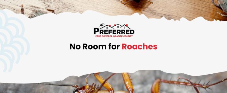 It’s Flea Season in Orange County! How to Stop the Itch