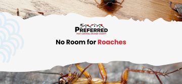 October Roach Crisis in Orange County: German vs American vs Oriental - What's Infesting Your Home