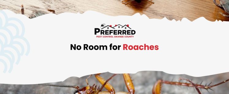 October Roach Crisis in Orange County: German vs American vs Oriental – What’s Infesting Your Home