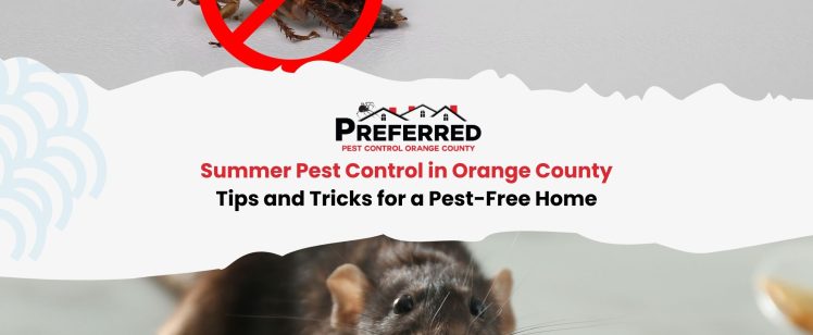 Summer Pest Control in Orange County: Tips and Tricks for a Pest-Free Home
