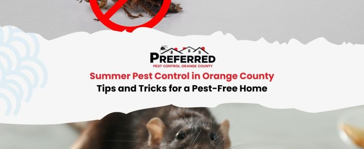 Summer Pest Control in Orange County: Tips and Tricks for a Pest-Free Home