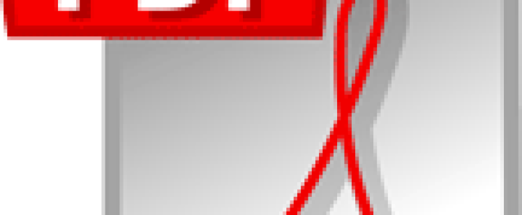 PDF file icon
