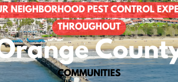 Orange County Properties Face Pest Season as April Warmth Brings Roaches, Rodents, and Insects