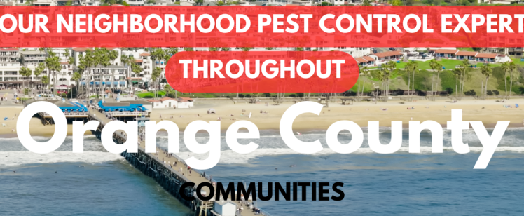 Orange County Properties Face Pest Season as April Warmth Brings Roaches, Rodents, and Insects