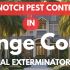 Can Fleas Live in My House Without Pets? Orange County May Flea Questions Answered