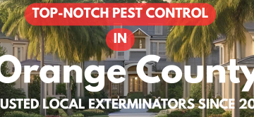 Can Fleas Live in My House Without Pets? Orange County May Flea Questions Answered