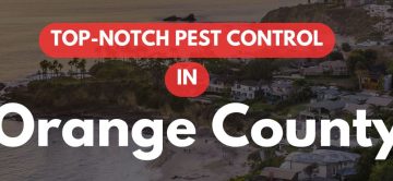 Your Restaurant's Outdoor Patio Just Became a Bee Landing Strip - June Commercial Pest Reality