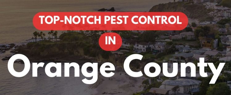 Your Restaurant’s Outdoor Patio Just Became a Bee Landing Strip – June Commercial Pest Reality