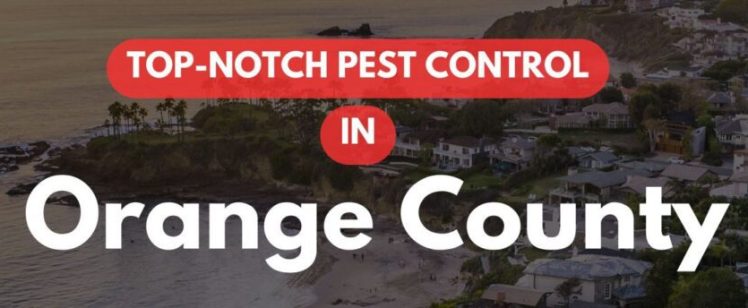 Your Restaurant’s Outdoor Patio Just Became a Bee Landing Strip – June Commercial Pest Reality