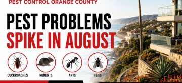 August Heat Wave Triggers Pest Crisis in Orange County Coastal Communities - Newport Beach to San Clemente Faces Unprecedented Activity