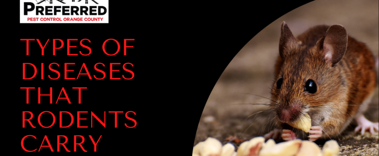 Diseases that RODENTS Carry – Preferred Pest Control OC