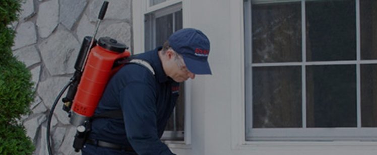 Pest control technician spraying house exterior