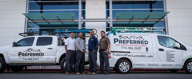 Four pest control technicians with two company vans