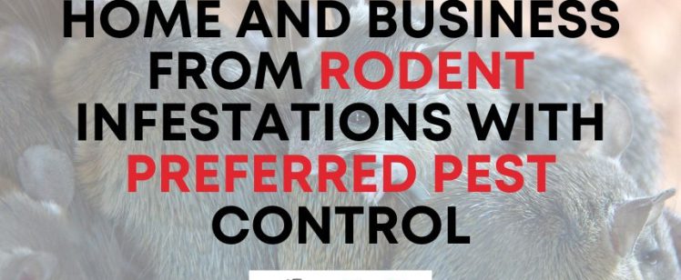 Cluster of rodents with pest control message