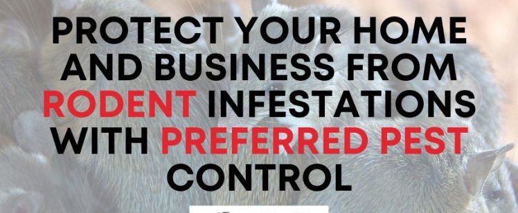 Protect Your Home and Business from Rodent Infestations with Preferred Pest Control