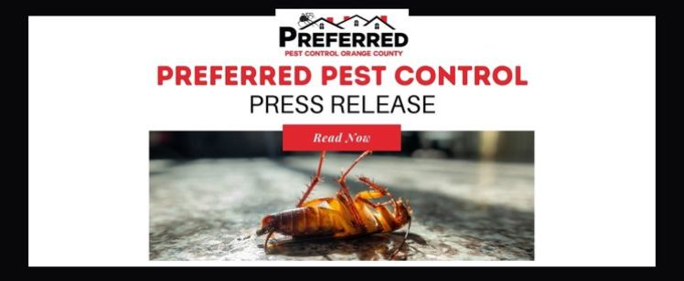 Dead cockroach for pest control press release