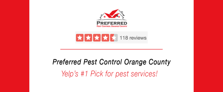 Why Clients Rave About Preferred Pest Control OC