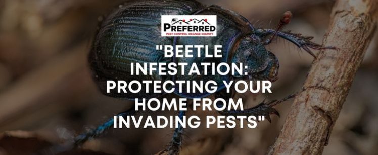 Close-up beetle with pest control headline