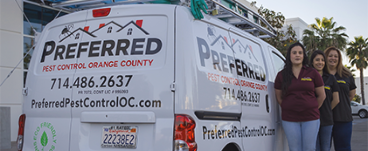 Pest control team standing beside company van