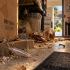 Beginning of September Means Silverfish Season in Orange County – Here’s What to Do
