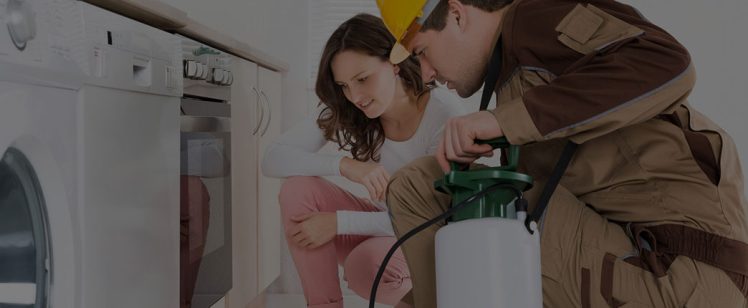 Exterminator inspecting kitchen with homeowner
