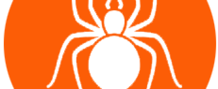 orange circular spider logo icon