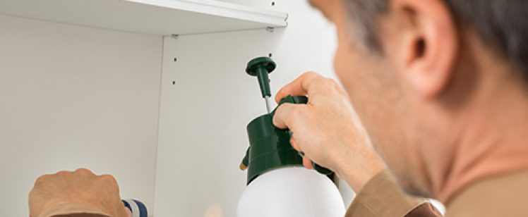Pest control technician spraying inside cabinet