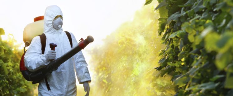 Person in protective suit spraying crops