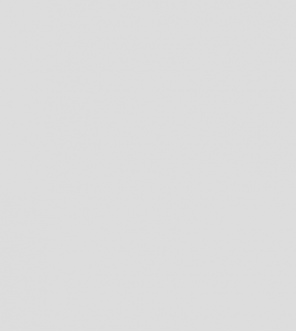light gray slider background with subtle border